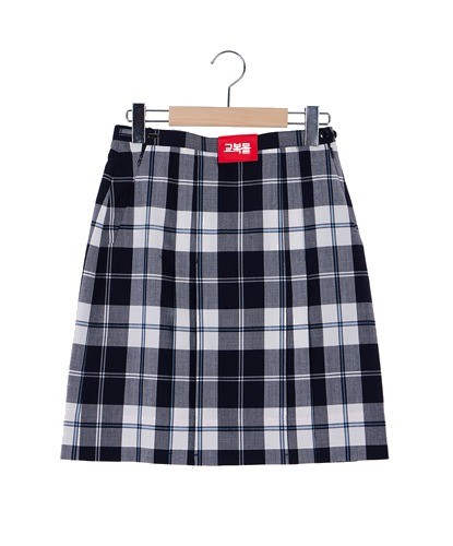school pleats low waist skirt | AND ON JIONE STORE